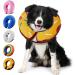 Ducomi Inflatable Dog & Cat Hinges - Post-Op Relaxation Movement Freedom & Bite Prevention - Buy Online on GoSupps.com