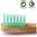 Hello Kitty Bamboo Children's Toothbrush (2-Pack) - Eco-Friendly Gentle on Gums 100% BPA-Free - Buy Online on GoSupps.com