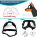 Petcute Dog Glasses | UV Protection Sunglasses for Large & Medium Dogs | Adjustable Elastic Strap for Outdoor Use - Buy Online on GoSupps.com