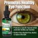 Nature's Answer Alcohol-Free Bilberry-20 Extract 1oz | Eye & Vision Support | Promotes Circulation - Buy Online on GoSupps.com
