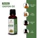 Croton Oil -(Croton Tiglium)- Carrier Oil 100% Pure Natural Undiluted Uncut Therapeutic Grade Oil 1.01 Fl.OZ 1 Fl Oz (Pack of 1) - Buy Online on GoSupps.com