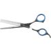 Laazar Pro 6.5 Thinning Shears - 42 Teeth Pet Grooming Scissors for Dogs, Cats & Pets - Buy Online on GoSupps.com