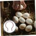 OFFSCH Incubator Heating Tube Chick Heater Heat Tool Triops Eggs Incubator Heaters The Bird's Nest Poultry - Buy Online on GoSupps.com
