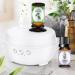 Aroma diffuser for essential oils without water: Diffuser for essential oils with 2 essential oils - aromatherapy diffuse - essential oils atomizer for car bedroom spa