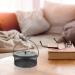 Buy Gavi Forge-Iron Mosquito Coil Box & Incense Stick Holder | Elegant Desk Decor for Office | International Shipping Available - Buy Online on GoSupps.com