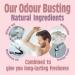 Salt of The Earth Lavender & Vanilla Natural Deodorant Refill 500ml - Buy Online on GoSupps.com