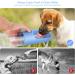 Philorn Dog Drinking Bottle 450ml | BPA-Free Leak-Proof Portable Pet Water Bottle for Dogs & Cats | Travel-Friendly Blue Design - Buy Online on GoSupps.com