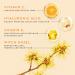 Vitamin C Face Serum - Hydrating Anti-Aging Skin Tightening with Vitamin E & Hyaluronic Acid | Colorfarm 1 Fl Oz - Buy Online on GoSupps.com