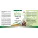 Fairvital Floravital Basic - 6 Bacterial Cultures & Inulin Lactobacillus & Bifidobacteria | 90 Capsules - Best for Gut Health Worldwide - Buy Online on GoSupps.com