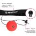 Beast Gear Boxing Reflex Ball Set - Martial Arts Training Equipment for Adults & Kids - MMA & Muay Thai - Includes Headband, Safety Glasses, and Adjustable Length String - Buy Online on GoSupps.com