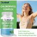 Suntbell Chlorophyll Capsules 400mg Sodium Copper Chlorophyllin for Internal Cleansing Supports Digestive Health and Skin with Peppermint and Chlorella 60 Count 30 Day Supply - Buy Online on GoSupps.com