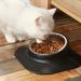 SUOXU Cat Bowls - 15 Inclined Double Bowl for Pet Feeding, Protects Cervical Spine, Anti-Skid & Anti-Spill Design for Cats and Small Dogs - Buy Online on GoSupps.com