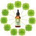 Buy MADENA BitterGl ck Original - 18 Bitter Herb Extracts Drops (50ml) | Hildegard von Bingen Formula for Digestive Health & Wellness - Buy Online on GoSupps.com