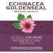 Nature's Way Echinacea Goldenseal - Alcohol Free Herbal Extract 1.01 fl oz (30 ml) - Buy Online on GoSupps.com