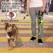 DDSCOLOUR Heavy Duty Dog Leash 5-6ft Long With Double Traffic Handle Reflective Perfect for Medium large dog leash strong Double Handle Lead Greater Control Safety Training (Green) 5ft Green - Buy Online on GoSupps.com