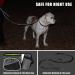 Premium Jogging Leash for Dogs - Elastic Buffer & Reflective Design for Hands-Free Running | Ideal for Medium & Large Breeds | Up to 110kg Capacity - Buy Online on GoSupps.com