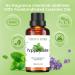 100% Pure Peppermint Extract - Refreshing Mint Oil Flavor for Focus | 30ml + Bonus Travel Size 10ml Peppermint & 10ml Lavender Roll-On Essential Oils - Buy Online on GoSupps.com