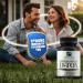 Spike Protein Removal - Original Spike Detox Formula with Nattokinase, Bromelain & Curcumin - 3-in-1 Immune System Supplement - Non-GMO, Vegan, Gluten-Free, Made in USA - 120 Capsules (30 Day Supply) - Buy Online on GoSupps.com