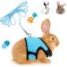 GLAITC Adjustable Rabbit Harness Leash Soft with Lead for Rabbits Guinea Pigs Rope Small Animal Pet Rats Iguana Hamster Ferrets Size L Blue - Buy Online on GoSupps.com