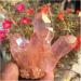 Natural Crystal Rough Beautiful Rose Flame Aura Quartz Crystal Cluster Specimen 60-70G - Buy Online on GoSupps.com