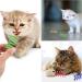 24 Pcs Colorful Spring Cat Toys Cat Spring Toys Cat Colorful Springs Toys Kittens Cat Interactive Toys Plastic Reusable Interactive Cat Toys for Swatting Biting Hunting Kitten Cat Toys 4 Color - Buy Online on GoSupps.com