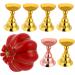 FOMIYES Pumpkin Slices Magnetic Mount Nail Practice Base Nail Art Tip Holder Manicure Practice Base Pumpkin Nail Display Crystal Holder Nail Beauty Supporter Cosmetic False Nails - Buy Online on GoSupps.com