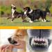 Kapetgo 6 Pack Luxury Dog Squeaky Toys for Puppy Cute Small Plush Dog Toys for Small Medium Dogs - Buy Online on GoSupps.com