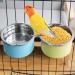 Stainless Steel Bird Feeding Dish Cup Stand - Cage Accessories for Parakeet, Conure, Cockatiels, Lovebirds, Budgie, Chinchilla - Buy Online on GoSupps.com