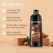 Dark Wine Red Hair Dye Shampoo 3 in 1 | Burgundy Color & Gray Coverage | Long Lasting Argan Oil Shampoo for Men & Women - Buy Online on GoSupps.com