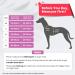 Pawaii Dog Harness for Large Dogs - Adjustable Breathable Anti-Drawing Design in Orchid Purple (XL: 81-96cm) - Buy Online on GoSupps.com