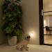 Buy Lyridz Motion Sensor Night Light Socket - Dimmable LED Plug-in for Kids' Bedroom Kitchen & Hallway (2 Pack) - Smart Warm White | International Shipping Available - Buy Online on GoSupps.com