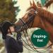 Equisept Fly Spray for Horses - 3L Insect Spray Canister | Mosquito & Horse Skin Care - Veterinarian Recommended Doping-Free - Buy Online on GoSupps.com