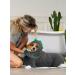 Quick Drying Dog Bathrobe | Adjustable Microfiber Towel for Large & Medium Dogs - Bibykivn Gray Green S - Buy Online on GoSupps.com