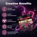 Creatine Monohydrate Gummies 5000mg - Sugar Free Pre Workout Supplement for Men & Women Creatine Gummies for Muscle Strength Recovery Cognitive Health & Memory Mixed Berry Flavor 120 Count - Buy Online on GoSupps.com