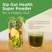 Four Sigmatic Gut Health Super Powder - Organic Green Superfood with Probiotics & Prebiotics | Apple Celery Super Greens Blend | 4.94 oz Drink Mix - Buy Online on GoSupps.com