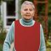 Adult Bibs for Elderly 2pcs Washable Feeding Adult Bib with Crumb Catcher Clothing Protectors for Adult Elderly and Disabled Red - Buy Online on GoSupps.com