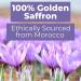 Nurture Nutri Organics Saffron Extract Capsules - 220 Capsules | 90mg Serving | Mood Booster and Golden Saffron Supplement - Buy Online on GoSupps.com