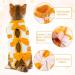 Pumyporeity Recovery Suit for Cats | Post-Op Bodysuit & Pajama | Orange M | Comfortable & Medical Aid for Kittens After Surgery - Buy Online on GoSupps.com