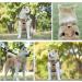 Buy Eyin Adjustable Dog Harness for Large Dogs - Camouflage Reflective Padded with Handle for Training (L: Neck 42-60cm Chest 47-86cm) - International Shipping - Buy Online on GoSupps.com
