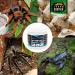 Terra Exotica Water Gel 250ml & 1000ml - Secure Water Supply for Insects Spiders & Scorpions | International Shipping Available - Buy Online on GoSupps.com