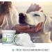 Reavet Eye Care Dog 100 Pieces - Gentle Eye Cleaning Pads & Tear Stain Remover for Dogs | Mild Non-Irritating Eye Care - Buy Online on GoSupps.com