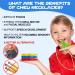 Kau-Hall Chain Olele | 3-Part Sensory Chewing Set for Kids | Silicone Chewing Rings for ADHD Autism & Biting Needs - Buy Online on GoSupps.com