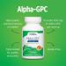 DOCTORS' PREFERRED Alpha GPC Supplement - Premium Formula. 600 MG/Serving 60 Vegan Capsules 30-Day Supply - Buy Online on GoSupps.com