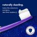 Dragon Dazzle Blue Raspberry Kids Toothpaste - Fluoride, No Artificial Sweeteners, No SLS - Gluten Free, Vegan - Ages 2+ - Pack of 3 (4.2 OZ Tubes) - Buy Online on GoSupps.com