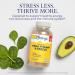 Solaray Mega Vitamin B-Stress Complex with 1000mg Vitamin C - 276 Count Vegan Tablets | Energy & Immune Support | 60 Day Guarantee - Buy Online on GoSupps.com