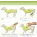 Kuoser Dog Surgery Recovery Suit for After Surgery Female Professional Pet Recovery Shirt Dog Abdominal Wounds Bandages Substitute E-Collar & Cone Prevent Licking Dog Onesies (green XS) XS green3 - Buy Online on GoSupps.com