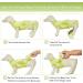 Kuoser Dogs Recovery Suit | Postoperative Wound Protection Shirt for Dogs | Soft Breathable Anti-Licking One-Piece for Belly Wounds | E-Collar Alternative | Green - Buy Online on GoSupps.com