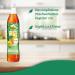 Pfanner Green Lemon Cactus Fig Syrup 700ml | Makes 7+ Liters Iced Tea | Premium Beverage Syrup - Buy Online on GoSupps.com