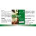 Hericium Powder 650 mg - 60 Capsules Functional Vital Fungus Adaptogen Highly Dosed Vegan | Vitamintrend  - Buy Online on GoSupps.com