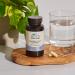 Terra Origin Healthy Gut Capsules with Vitamin D - 60 Count for Digestive Support - Buy Online on GoSupps.com